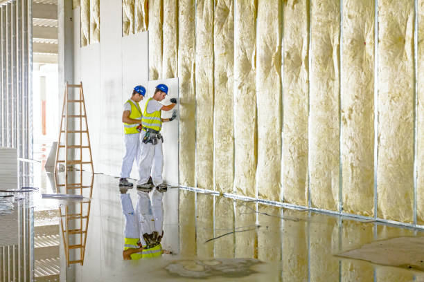 Best Insulation Installation Services in Monroe, MI